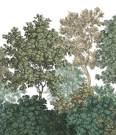 Papel pintado paisaje bosque grabado