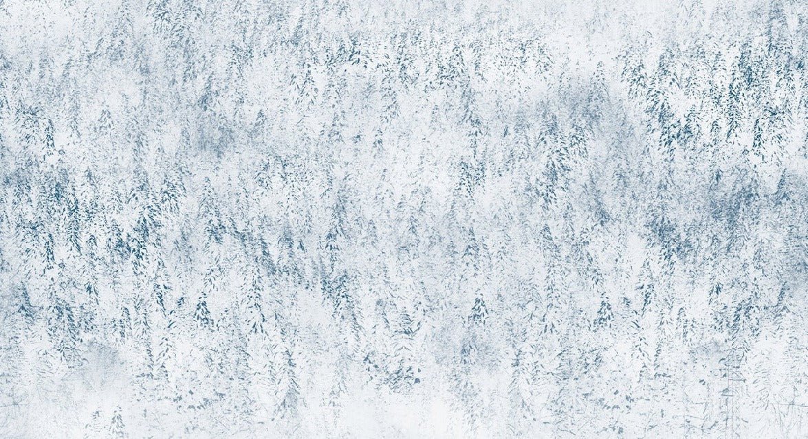 Papier peint forêt brumeuse Alpine design, XXL, tendance