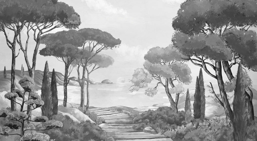 Papier peint balade dans les calanques noir et blanc, XXL, tendance