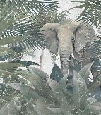 Papel pintado Elefante amazónico