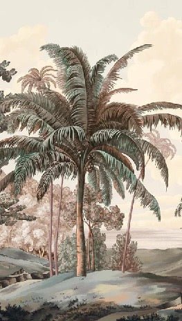 Papel pintado paisaje Célèbes terra