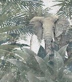 Papel pintado Elefante amazónico