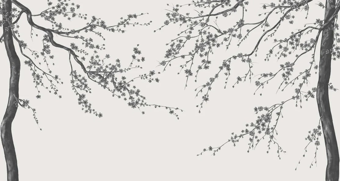 Papel pintado panorámico de flores en blanco y negro Sakura
