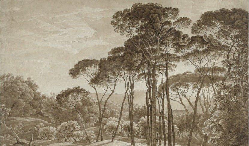 Papel pintado Paisaje panorámico italiano en ámbar