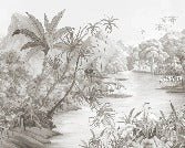 Pintoresco fondo de pantalla panorámico de la selva