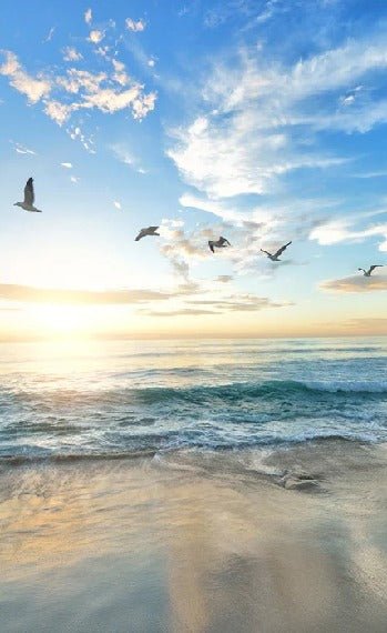 Papier peint salle de bain plage paradisiaque, XXL, tendance