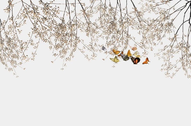 Papel pintado salón rama y mariposa