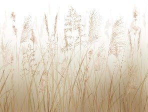 Fondo de flores de campo de trigo