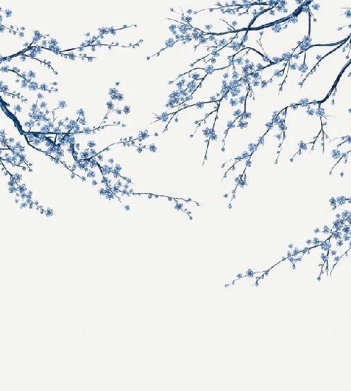 Papel pintado panorámico de flores blancas de Sakura