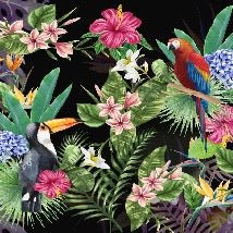 Papier peint Tropical & Toucan, XXL, tendance