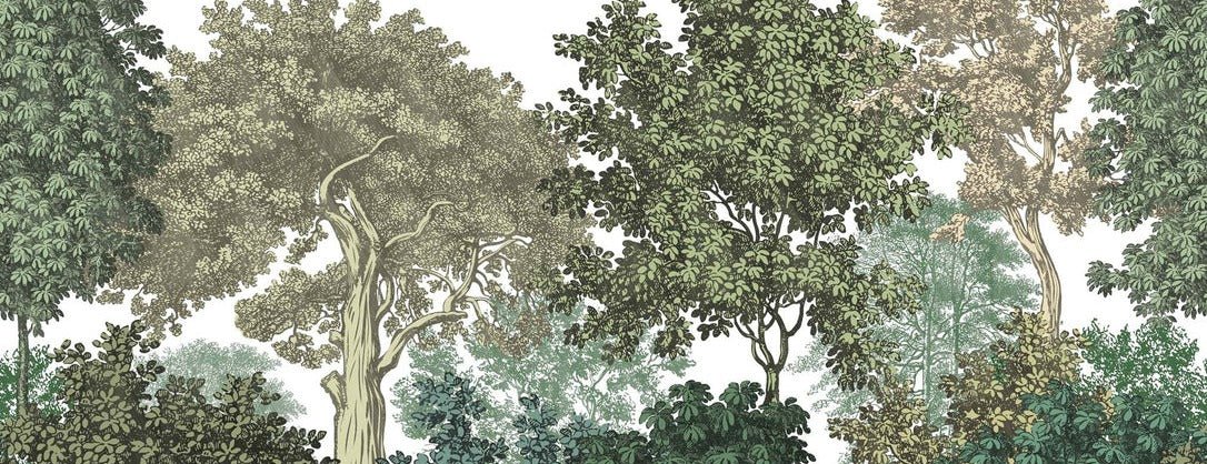 Papel pintado paisaje bosque grabado