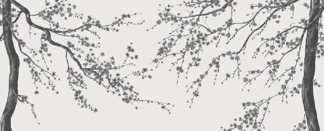 Papel pintado panorámico de flores en blanco y negro Sakura