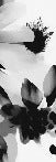 Hipnótico papel pintado de flores en blanco y negro