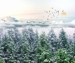 Papel pintado panorámico no tejido Bosque nevado