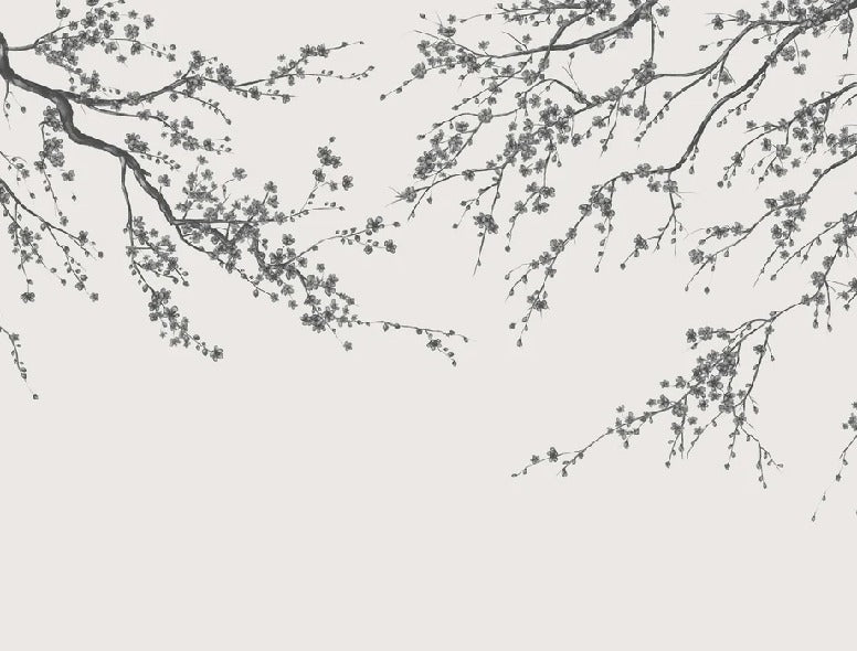 Papel pintado panorámico de flores en blanco y negro Sakura