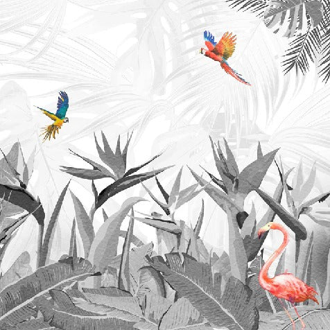 Papier peint noir et blanc oiseau du paradis, XXL, tendance