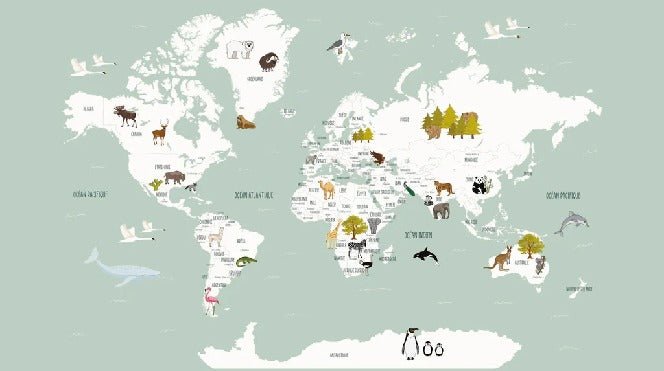 Papier peint Carte du monde en Francais enfant vert, XXL, tendance