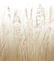 Fondo de flores de campo de trigo