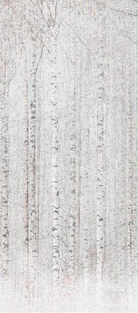 Papel pintado Envolvente bosque de abedules