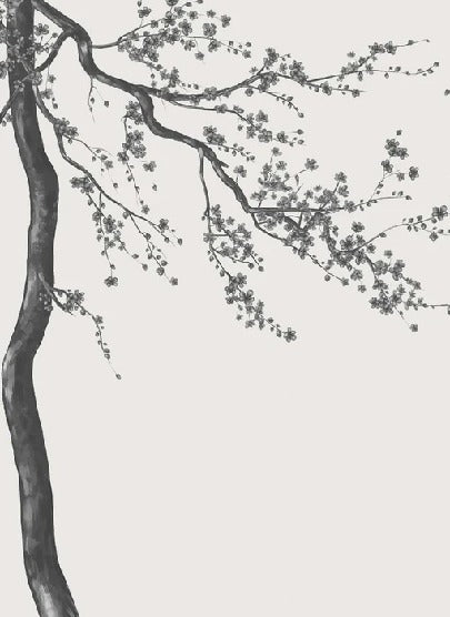 Papel pintado panorámico de flores en blanco y negro Sakura