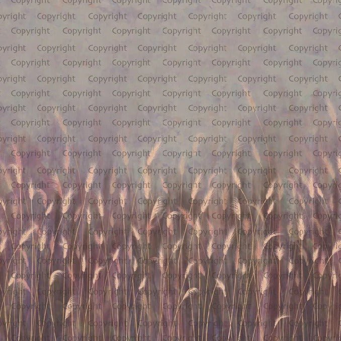 Papier peint panoramique herbes sauvages rose