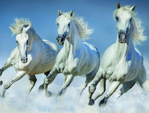 Papier peint panoramique chevaux blanc neige