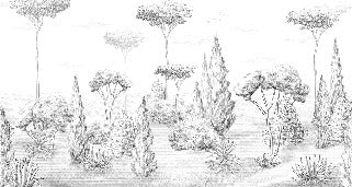 Papel pintado Bosque antiguo panorámico