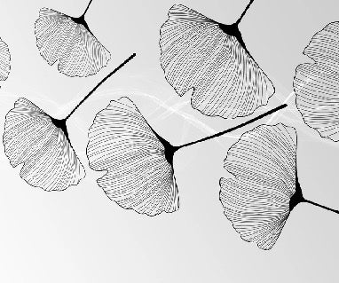 Papel pintado panorámico ginkgo negro de moda