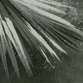 Papier peint panoramique rétro palm vert, XXL, tendance