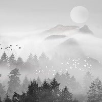 Papel pintado Niebla de montaña mística