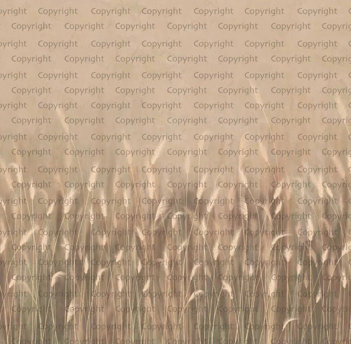 Papel pintado Beige panorámico hierba salvaje