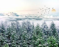 Papel pintado panorámico no tejido Bosque nevado