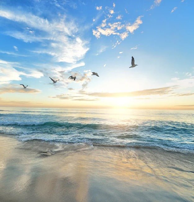 Papier peint salle de bain plage paradisiaque, XXL, tendance