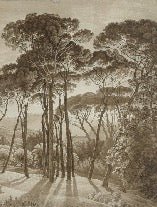 Papier peint panoramique paysage italien ambré