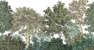 Papel pintado paisaje bosque grabado