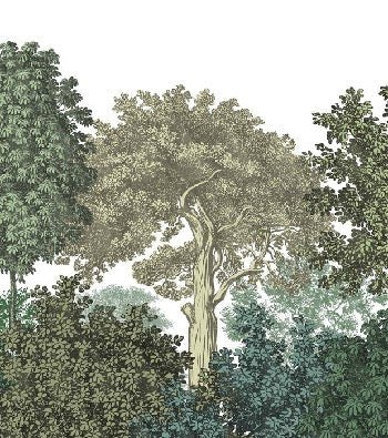 Papier peint paysage forêt gravure