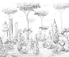 Papier peint style romain pinède, XXL, tendance