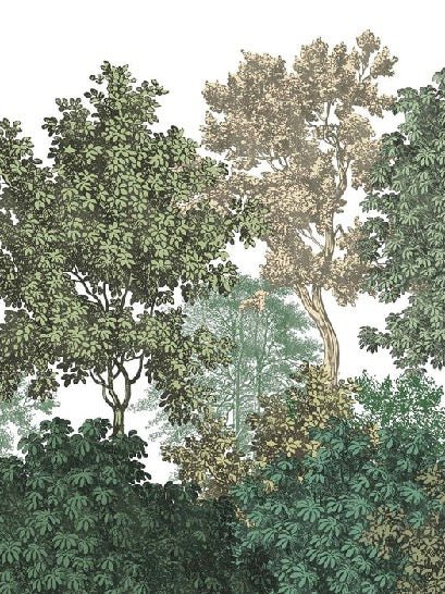 Papel pintado paisaje bosque grabado