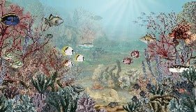 Papier peint vie sous la mer, XXL, tendance