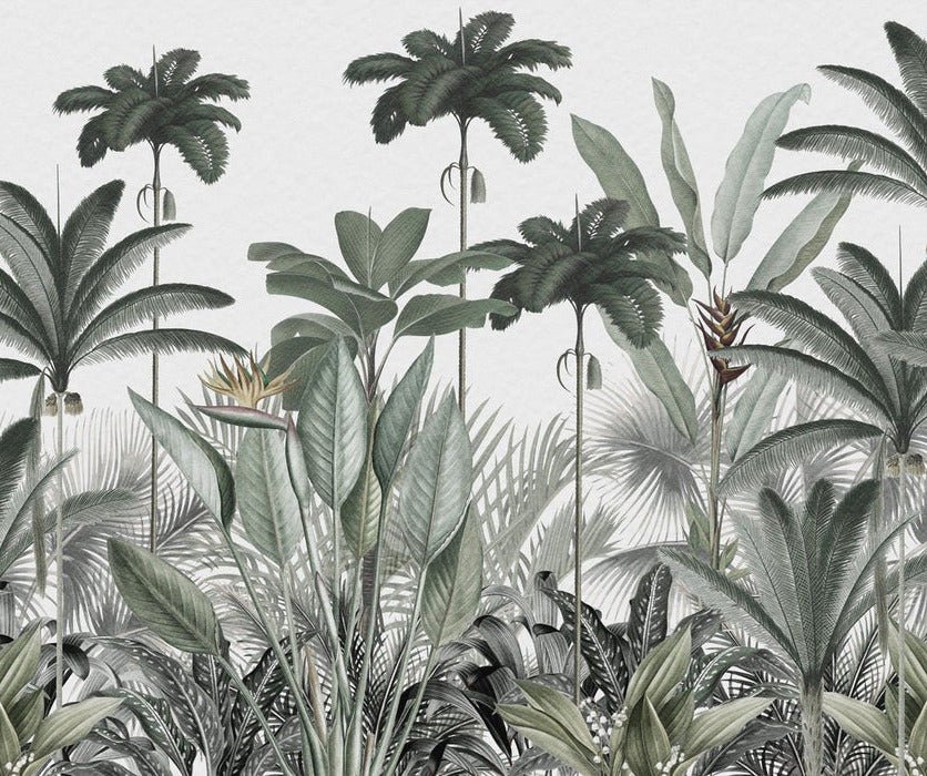 Papel pintado Árbol de la selva panorámico