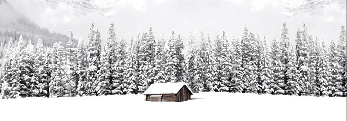 Papier peint panoramique chalet en montagne, XXL, tendance
