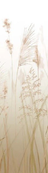 Fondo de flores de campo de trigo