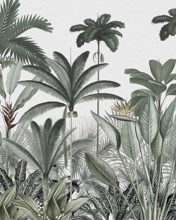 Papel pintado Árbol de la selva panorámico