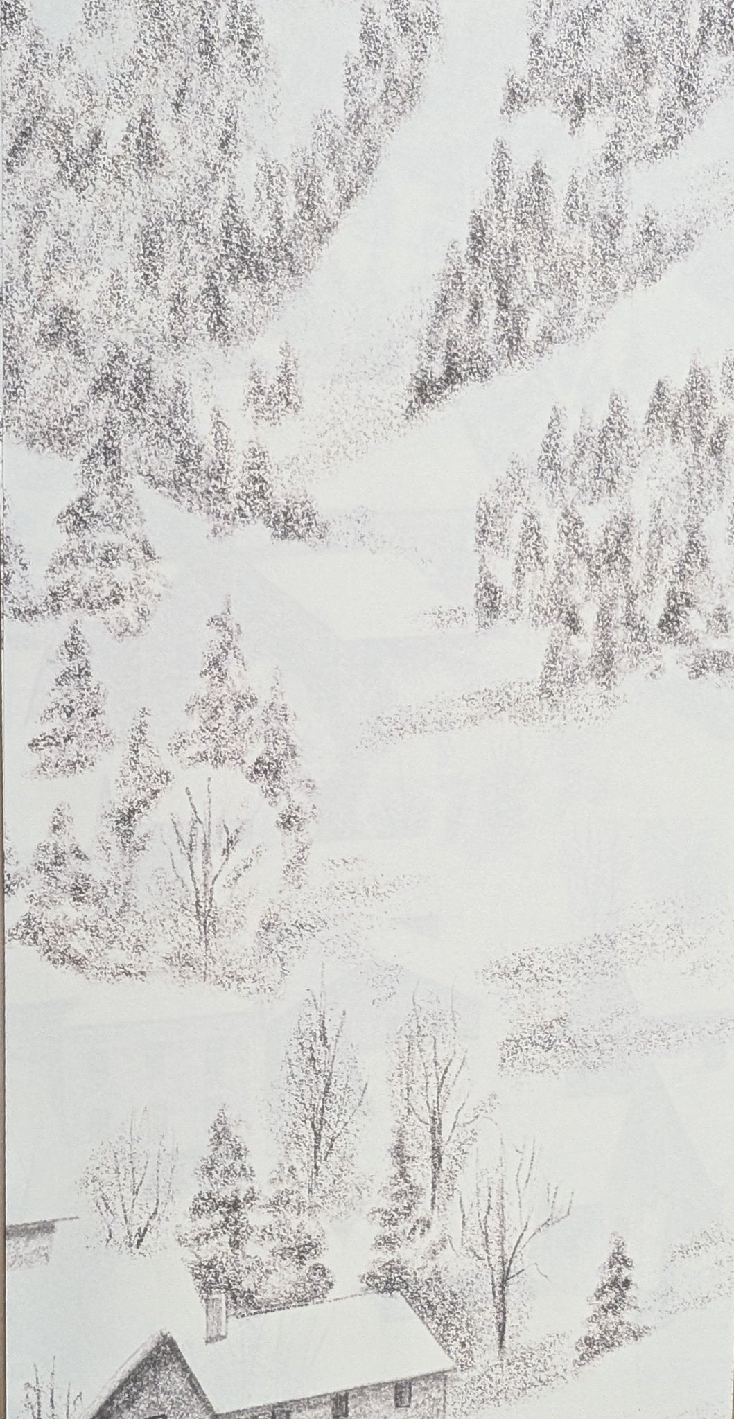 Papel Pintado Mapamundi Francés Infantil Gris - H260cm x L322cm - Material Preencolado