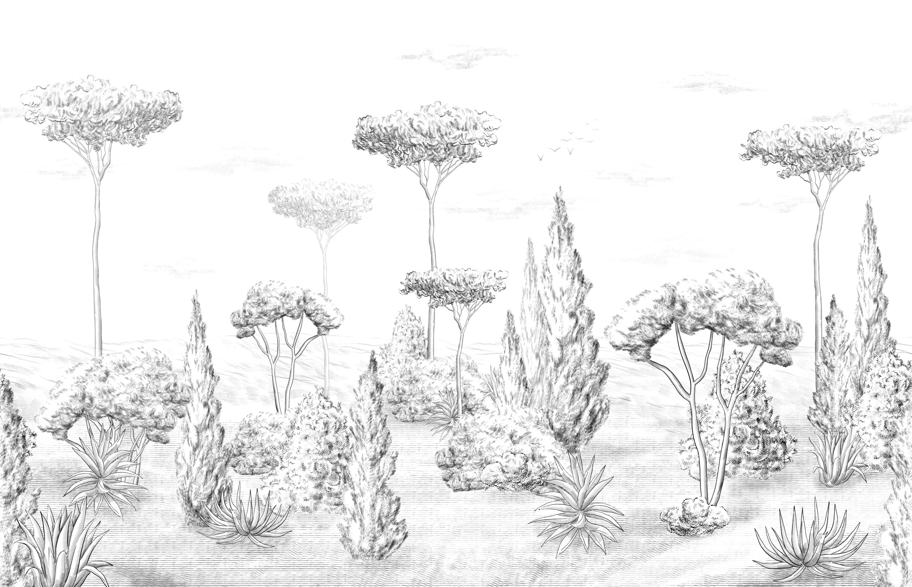 Papier peint panoramique forêt antique, XXL, tendance