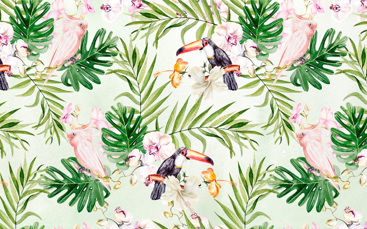 Papier peint Toucan & Exotic Touch, mural concept, tendance
