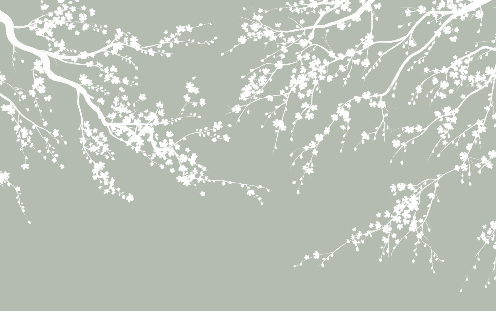 Papier peint panoramique Sakura vert sauge - Muralconcept