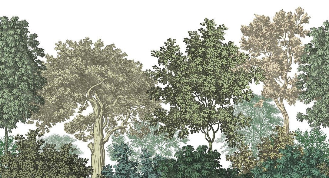 Papel pintado paisaje bosque grabado