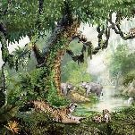 Papel pintado infantil jungla secreta