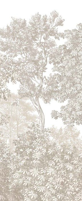 Papier peint paysage forêt gravure beige